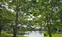 453 Dahoon Holly Dr Photo