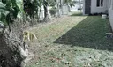 Side Yard