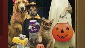 Howl-O-Ween Pet Contest