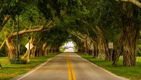 Wisteria Place in Hobe Sound: Comfortable Living in a Convenient Coastal Town