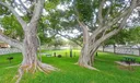 330 Olivewood Pl #217 Photo