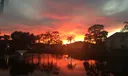 326 Knotty Pine Circle #C-2 Photo