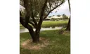 2813 SW Lakemont Place Photo