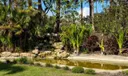 11209 Orange Hibiscus Ln Photo