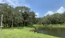 1061 Raintree Lane Photo