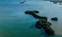 1 Bird Key Photo