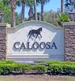 Homes Sold By Jeff Lichtenstein in Caloosa