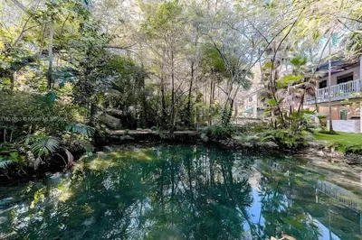 Koi pond