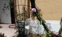 2601 Regalia Way Photo