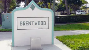 Best Real Estate Agent in Brentwood, Jupiter