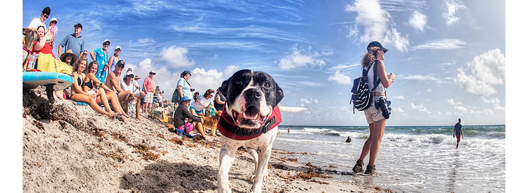 Calling All Frenchman’s Reserve Animal Lovers!