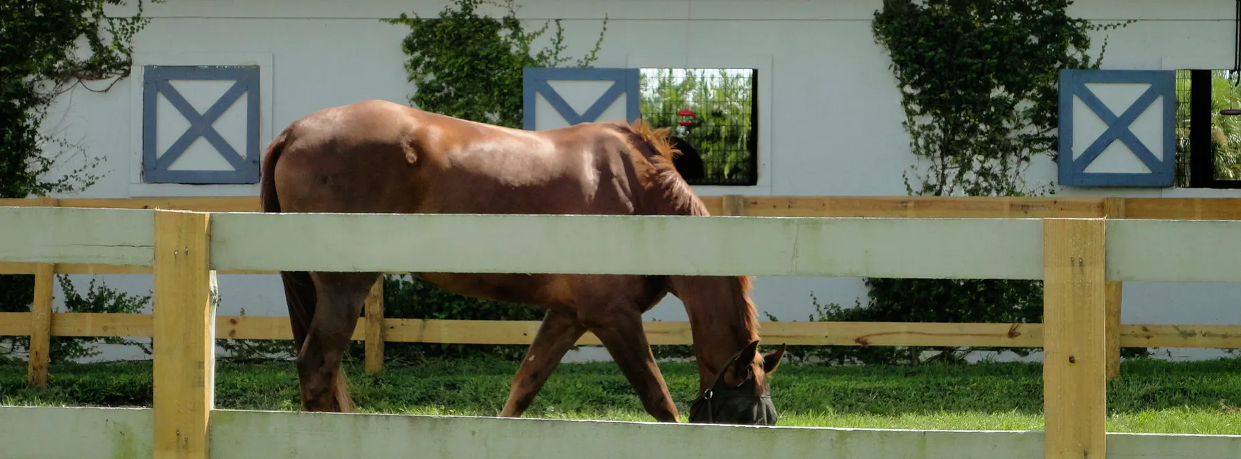 Equestrian Communities in North Palm Beach