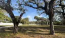 9506 SW 57th Ave Photo