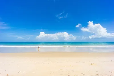 4160 N Highway A1a #1002 1