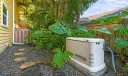 2388 Palm Harbor Drive Photo