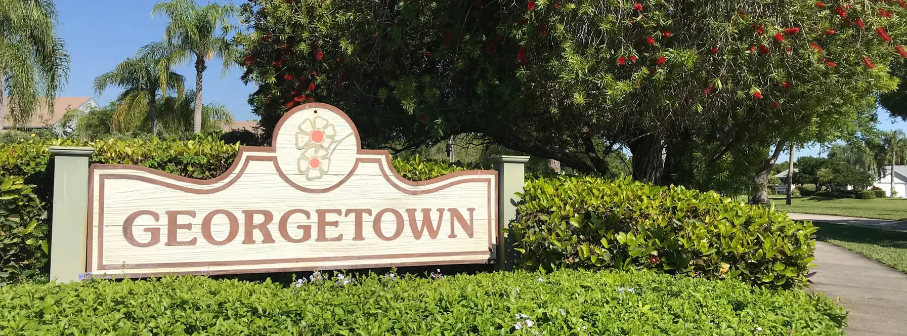 Homes Sold By Jeff Lichtenstein in Georgetown at Heritage Ridge