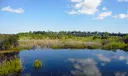 8041 Cranes Pointe Way Photo