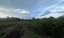 0 E State Rd 60 Photo