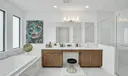 17523 Rainstream Photo