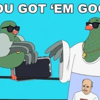 Pigeonholed