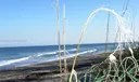 19670 Beach Rd #PHA4 Photo