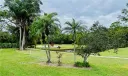 Backyard View