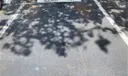 9712 W McNab Rd #104 Photo