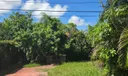 601 W Sample Rd Photo