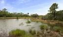 10376 Orchid Reserve Drive #12b Photo
