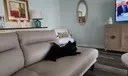 2431 SW 82nd Ave #305 Photo