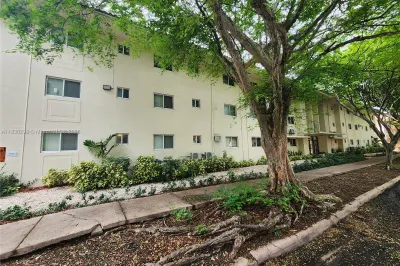 Front of Structure