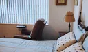 1395 Biarritz Dr Photo