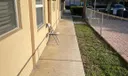 416 Lakeside Dr #128 Photo