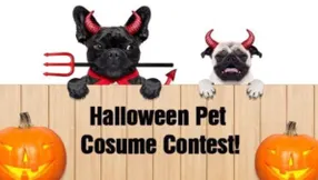 Echo’s 1st Annual Halloween Pet Photo Costume Contest