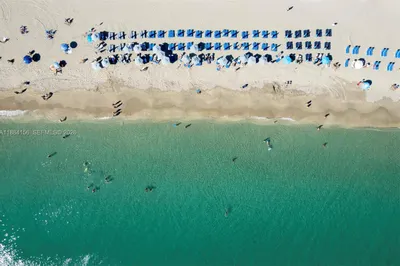 Just steps away from Hallandale Beach