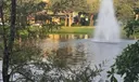 195 E Thatch Palm Circle Photo