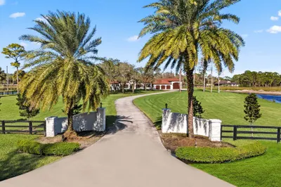 11351 Alligator Trail 1