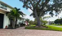 691 SW Pine Tree Lane Photo