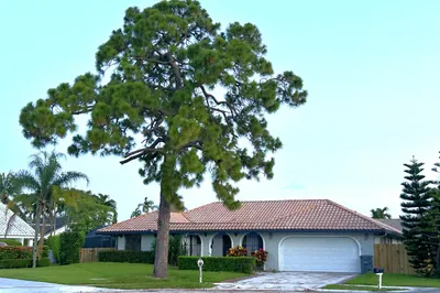 22822 Pinewood Court 1