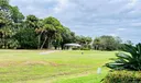 Backyard View