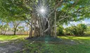 12 Concourse Drive #A Photo