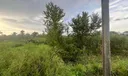 0 E State Rd 60 Photo