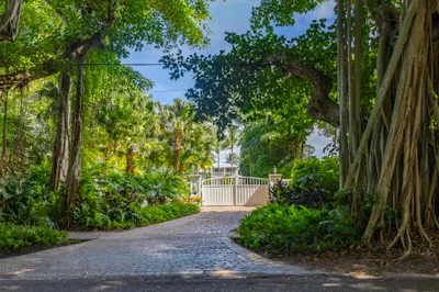 Double-gate entry tucked beneath the banyan canopy