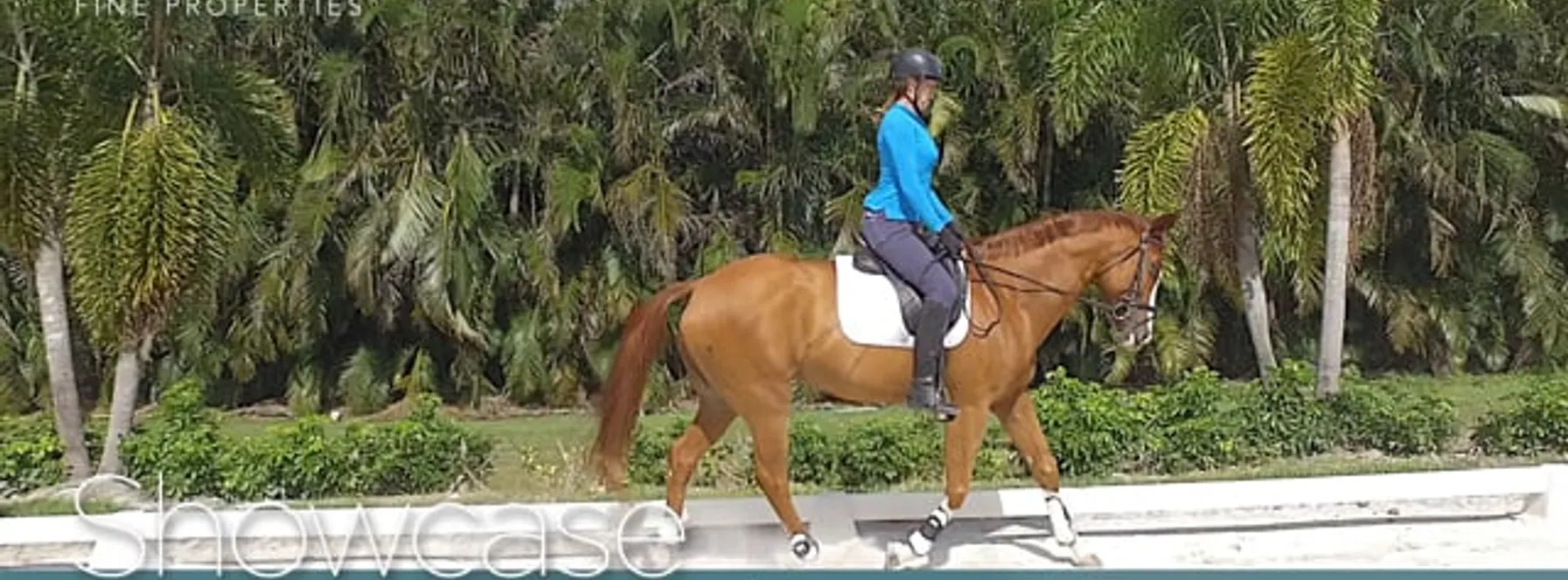 Teamwork Dressage in Jupiter Farms, Florida.