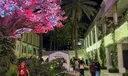DOWNTON WPB