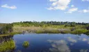 8794 Lakes Boulevard Photo