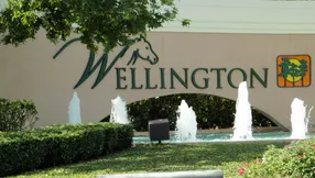 Homes Sold By Jeff Lichtenstein in Wellington