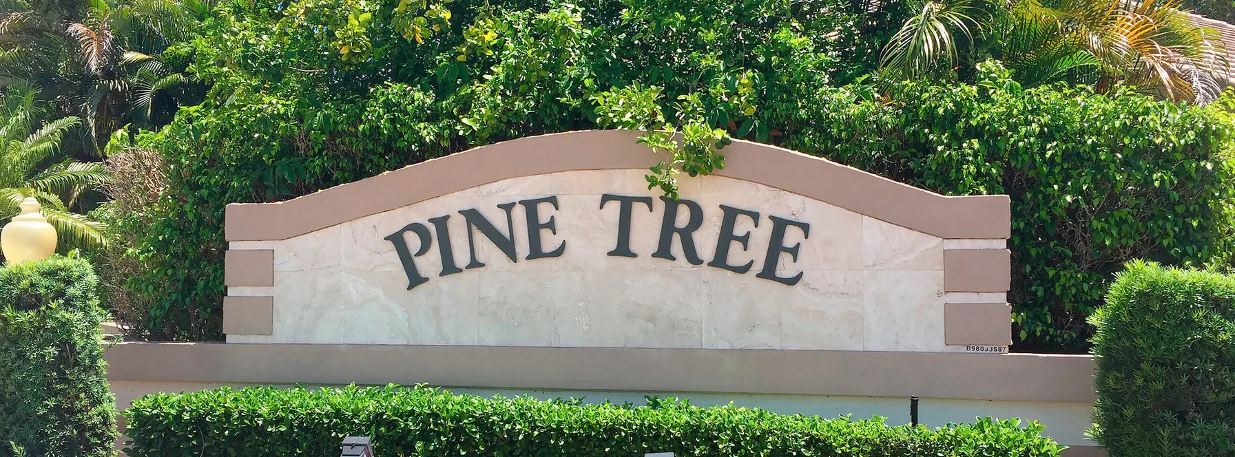 Best Real Estate Agent in Pine Tree Golf Club, Boynton Beach