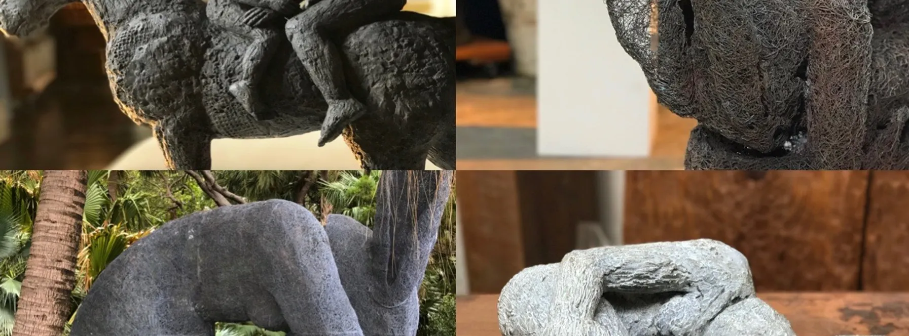 Eduardo’s Spotlight on Ann Norton Sculpture Gardens