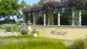 Mirasol | The Secrets Of The Miracle That Is Mirasol Revealed